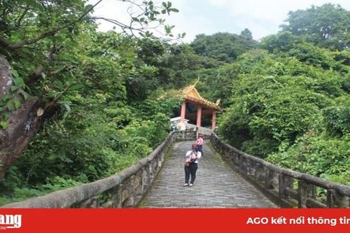 15 địa điểm tham quan, du lịch thu hút đông khách trong nước và quốc tế