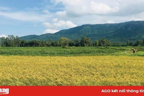Mùa khô Bảy Núi