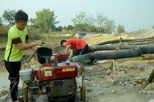 Nỗ lực chống hạn cho lúa đông xuân