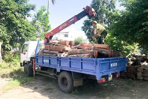 Ninh Hòa: Lập biên bản 36 vụ vi phạm Luật Lâm nghiệp