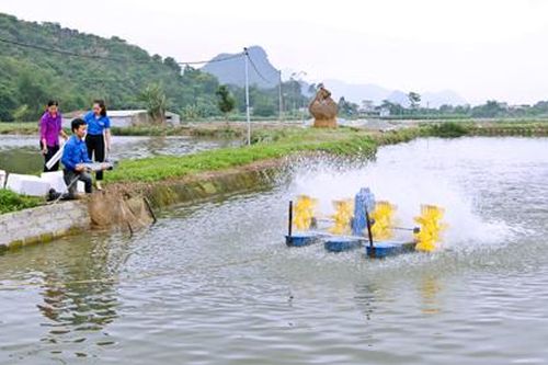 Lan tỏa các mô hình dân vận khéo ở Yên Mô