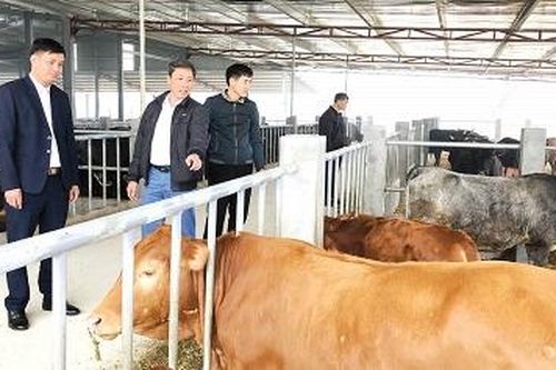Đoan Hùng phát triển kinh tế trang trại