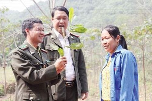 Nghị quyết 24 - Bước đột phá về kinh tế đồi rừng