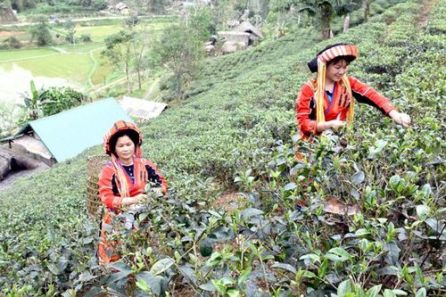 Chiêm Hóa sử dụng đúng nguồn vốn hỗ trợ các dân tộc rất ít người