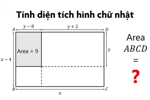 Tìm lỗi sai trong câu đố tính diện tích hình chữ nhật