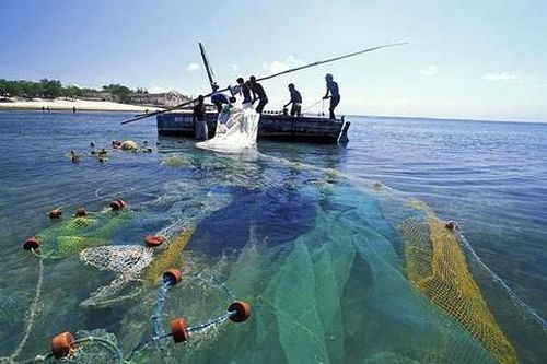 Đầu người vướng lưới ngư dân