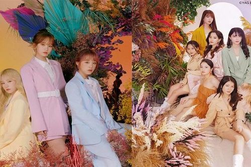 Nhóm nhạc 'chị em' của Việt Nam bị chỉ trích vì 'đạo nhái' IZ*ONE