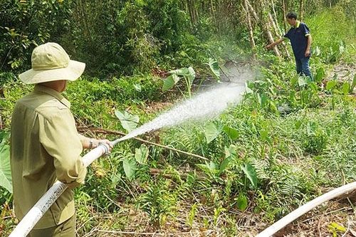Quyết liệt phòng, chống cháy rừng ở Tây Nam Bộ