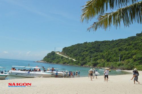 Đảo Cù Lao Chàm tạm ngưng đón khách