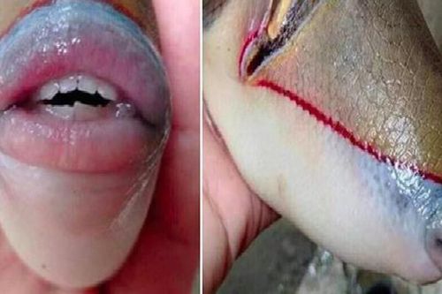 Chú cá với đôi môi đầy gợi cảm khiến ai cũng phải 'trầm trồ'