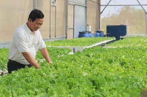 Tháng 4/2020, lần đầu tiên Việt Nam sẽ công bố Sách Trắng hợp tác xã