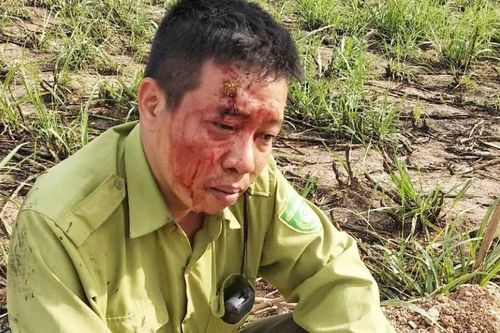 Khởi tố nghi can hành hung kiểm lâm Vườn Quốc gia Yok Đôn