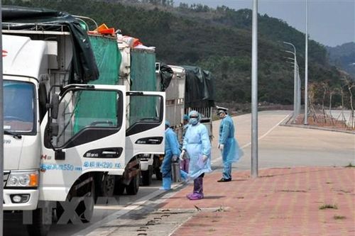 Sớm có quy định hỗ trợ khách hàng vay vốn bị thiệt hại do COVID-19