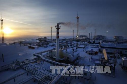 Nga để ngỏ hợp tác với OPEC