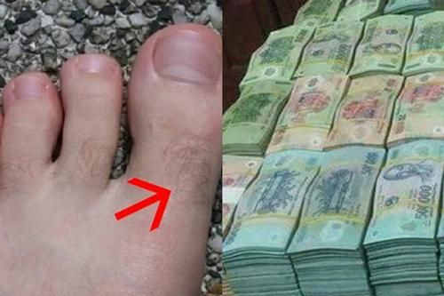 4 vị trí lông càng mọc nhiều càng phát tài, phú quý ào ào tìm đến, ôm hết lộc thiên hạ về nhà