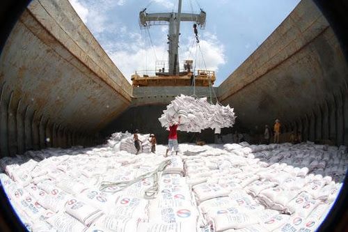 Doanh nghiệp xuất khẩu gạo tập trung bình ổn giá trong nước