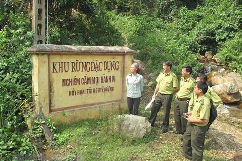 Nâng cao chất lượng bảo vệ và phát triển rừng phòng hộ, đặc dụng