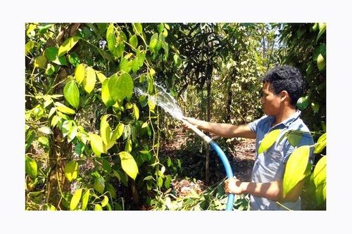 Hạn hán gay gắt tại Tây Nguyên, Nam Bộ