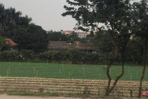 Bất thường một vụ 'giải tỏa' đất thầu tại Mê Linh (Hà Nội)