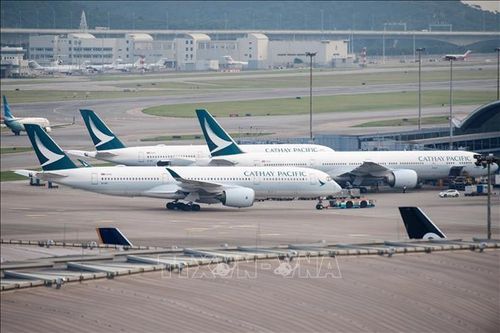 Hong Kong ghi nhận tiếp viên hàng không đầu tiên nhiễm virus SARS-CoV-2