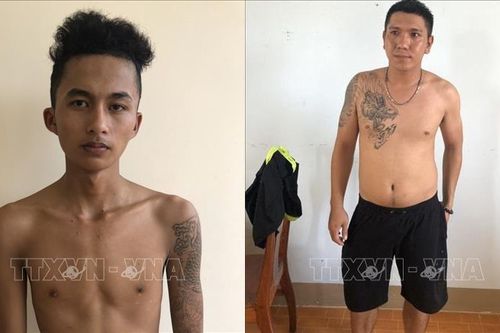 Bắt giữ thêm hai đối tượng trong băng nhóm sử dụng súng quân dụng đi trộm cắp tài sản