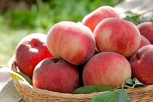 Đặt lên bàn thờ loại quả này, thần linh 'ban thưởng', đang nghèo hóa giàu, tiền vào như nước
