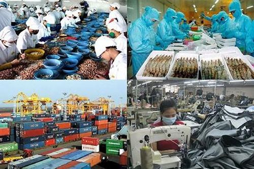 Tiếp tục hoàn thiện thể chế CPH, thoái vốn, cơ cấu lại DN