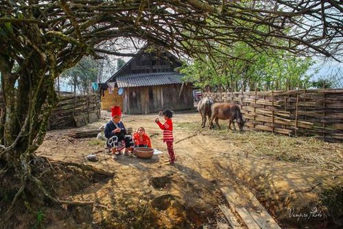 Nơi hội tụ khoảnh khắc đẹp Lào Cai