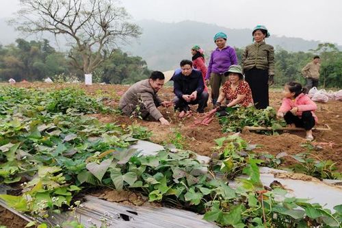 Thi đua 'Dân vận khéo' ở Văn Bàn