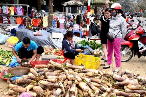 Mùa vầu xứ Tuyên