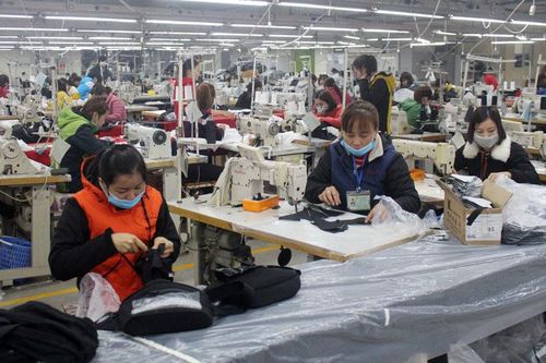 Đào tạo nghề gắn với giải quyết việc làm