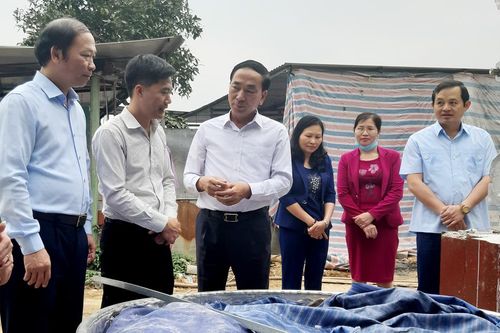 Tập trung chuẩn bị đại hội gắn với phát triển kinh tế - xã hội