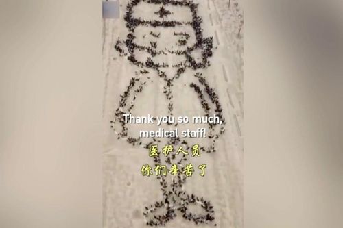 Người đàn ông gửi tặng các bác sĩ Trung Quốc món quà đặc biệt từ 4.000 con gà