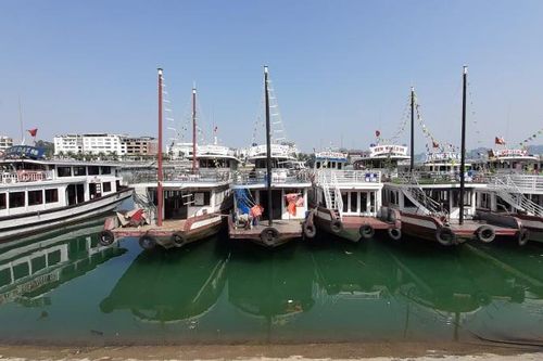 Quảng Ninh tạm dừng đón khách du lịch để chống dịch Covid-19