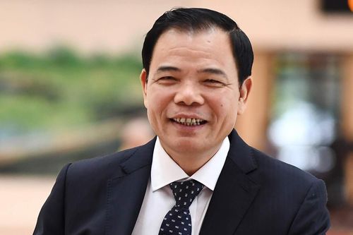 'Không có lý do gì mà thịt lợn hơi không xuống 70.000 đồng/kg cả'