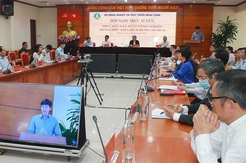 Đảm bảo an ninh lương thực, đẩy mạnh xuất khẩu