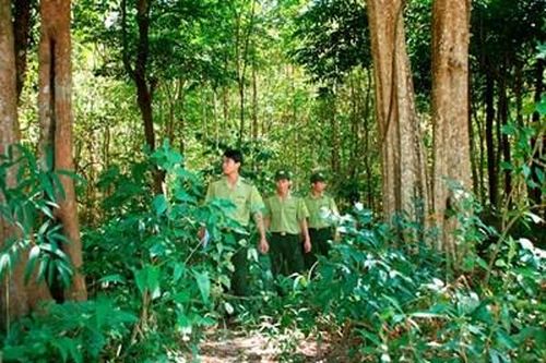 Tăng cường công tác phòng cháy, chữa cháy rừng tại Vườn quốc gia Chư Mom Ray
