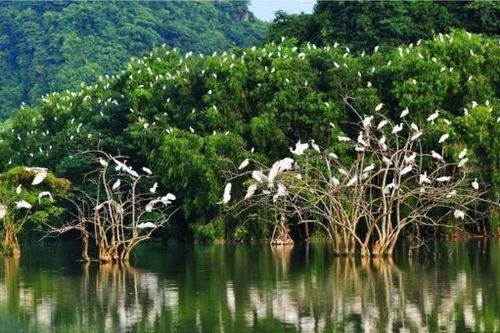 Bến Tre được hỗ trợ phát triển nông nghiệp và thúc đẩy đầu tư