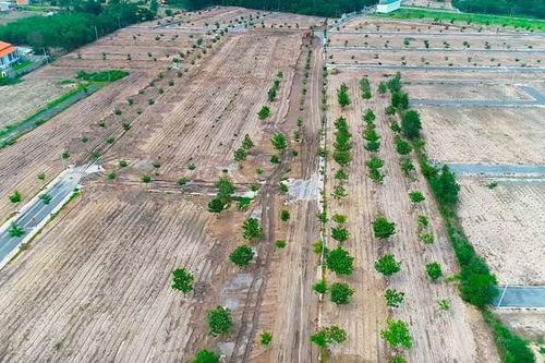 Đề xuất bỏ quy định cho phép tách thửa đất nông nghiệp ngăn dự án 'ma'