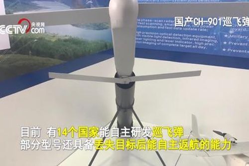 Quân đội Trung Quốc sắm máy bay không người lái tự sát