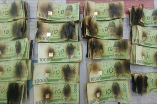 ''Khóc ròng' vì khử khuẩn tiền bằng lò vi sóng thời Covid-19