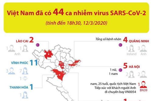 Toàn cảnh 44 ca nhiễm virus SARS-CoV-2 tại Việt Nam