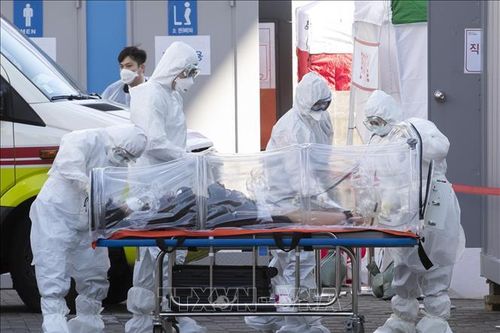 Hàn Quốc ghi nhận thêm 6 ca tử vong và 114 ca mới nhiễm virus