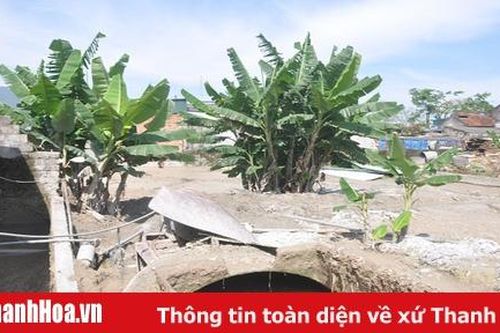 Xử lý dứt điểm các cơ sở tái chế nhựa, bao bì gây ô nhiễm môi trường tại xã Thái Hòa