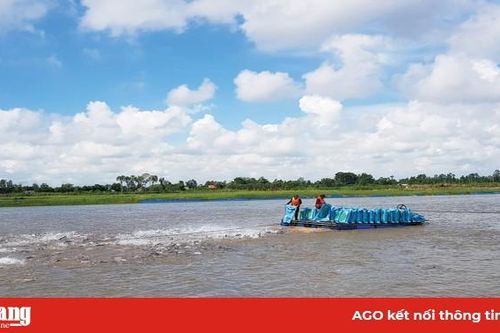 Cơ hội từ Hiệp định thương mại tự do Việt Nam - Liên minh Châu Âu