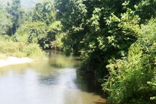 UBND tỉnh chỉ đạo kiểm tra, xử lý nạn khai thác cát lậu trên sông Chò