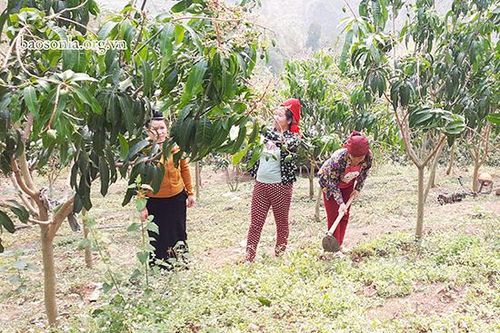 Hội nghị trực tuyến thúc đẩy sản xuất nông nghiệp trong điều kiện dịch bệnh COVID-19
