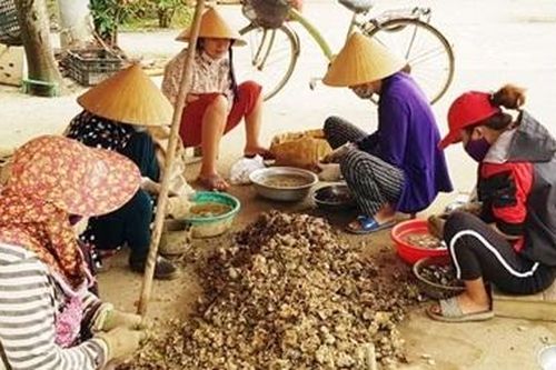 Neo cuộc đời nơi cửa sông Nhật Lệ