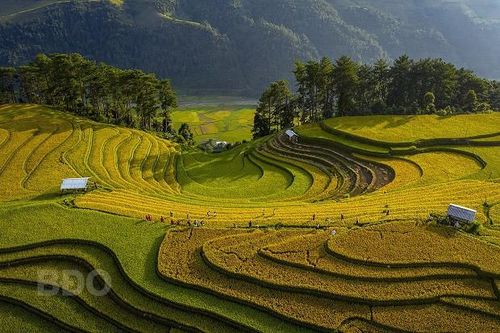 Nhiếp ảnh Việt Nam giành thắng lợi lớn trên đấu trường quốc tế