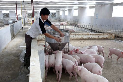 Thúc đẩy sản xuất nông nghiệp